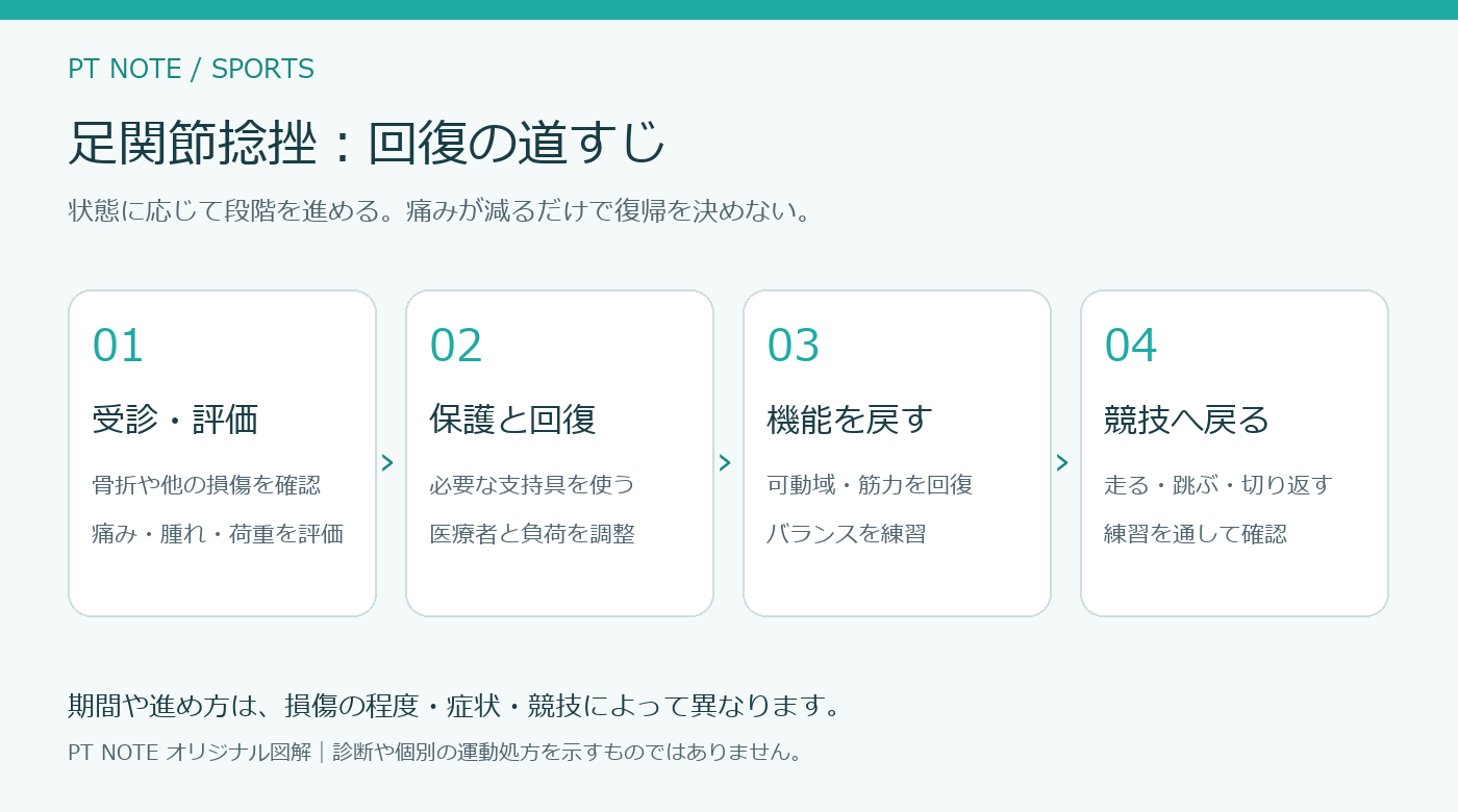 足関節捻挫の回復の流れ:受診と評価、保護と回復、機能を戻す、競技へ戻る。