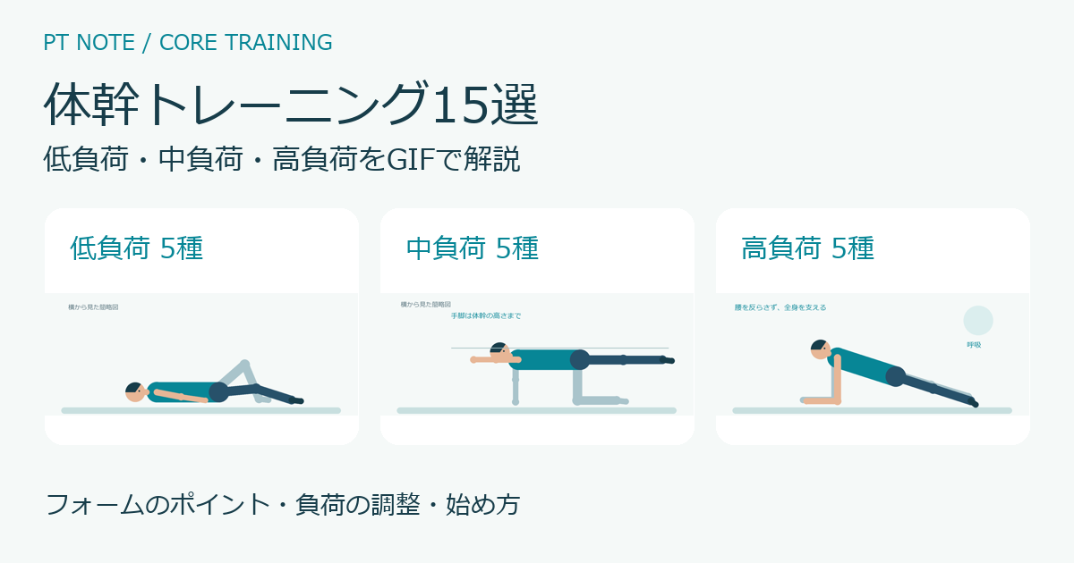 体幹トレーニング15選。低負荷・中負荷・高負荷の各5種をGIFで紹介