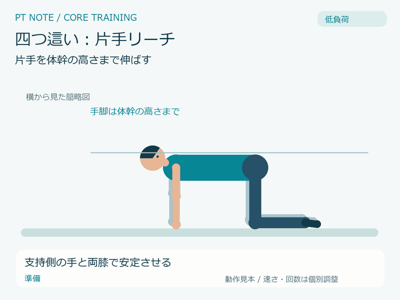低負荷:四つ這い:片手リーチの動作GIF。支持側の手と両膝で安定させる