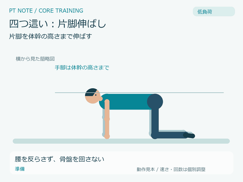 低負荷:四つ這い:片脚伸ばしの動作GIF。腰を反らさず、骨盤を回さない