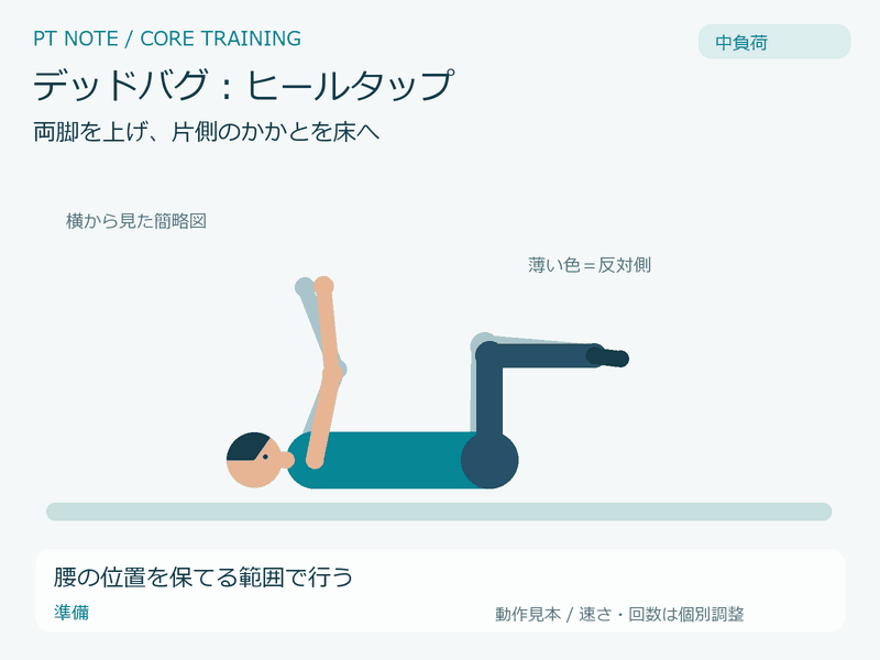中負荷:デッドバグ:ヒールタップの動作GIF。腰の位置を保てる範囲で行う