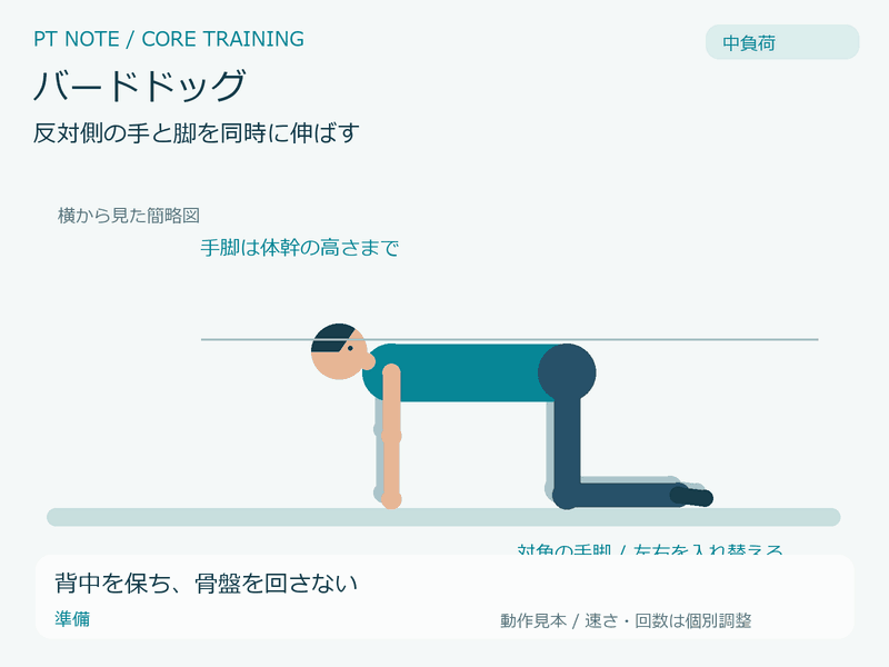 中負荷:バードドッグの動作GIF。背中を保ち、骨盤を回さない