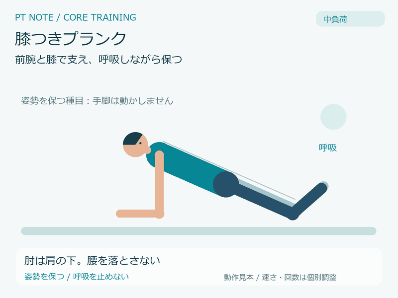 中負荷:膝つきプランクの動作GIF。肘は肩の下。腰を落とさない